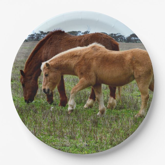 Prato De Papel Chestnut Mare E Palomino Foal, (Frente)