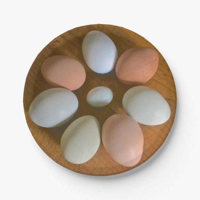 Prato De Papel Chicken - Chicken Paper Plate (Frente)