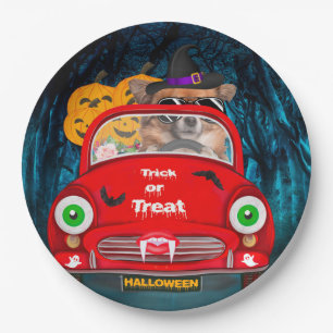 Prato De Papel Chihuahua Dog Dirigindo Carro Assustado Halloween
