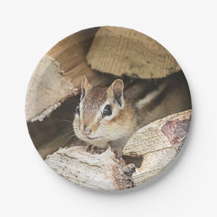 Prato De Papel Chipmunk numa pilha de madeira