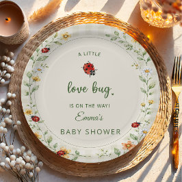 Prato De Papel Chuva de Bebê Flor Silvestre Joaninha Xadrez Fofa