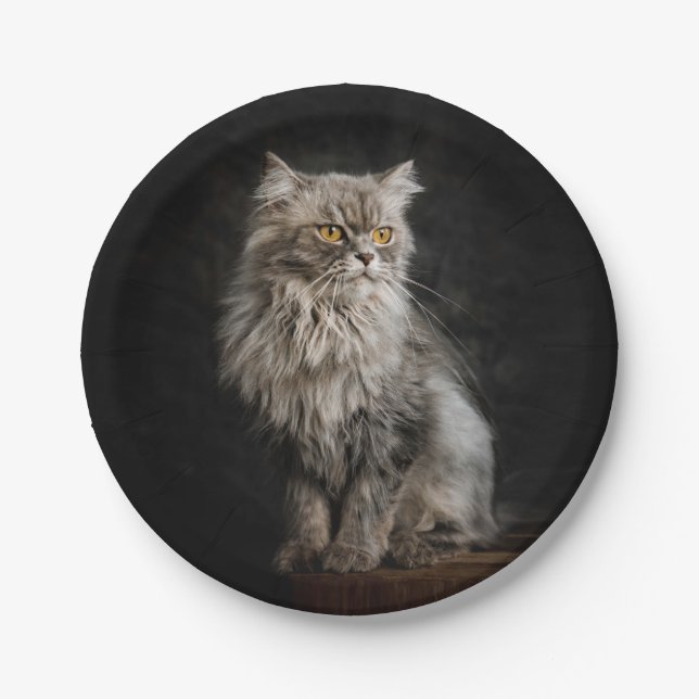 Prato De Papel Cinza Fluffy Cat (Frente)