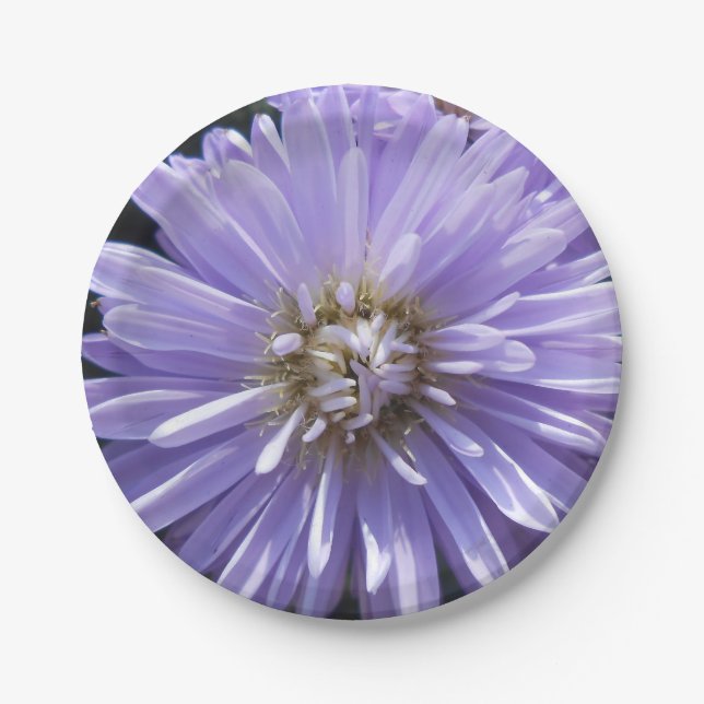 Prato De Papel Cireno (Frente)