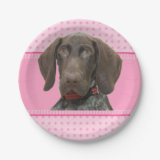 Prato De Papel cirgrizzlygirl spink baby 4.jpg