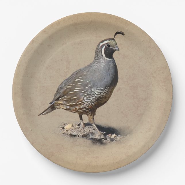 PRATO DE PAPEL CODORNIZ DE CALIFÓRNIA (Frente)