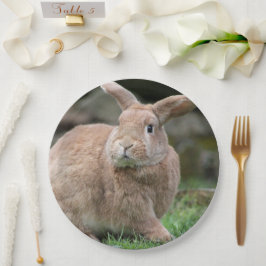 Prato De Papel Coelhinho de gengibre bonito com orelhas grandes