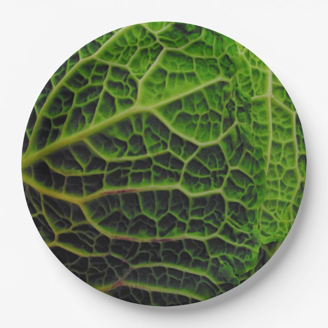 PRATO DE PAPEL COELHO (Frente)