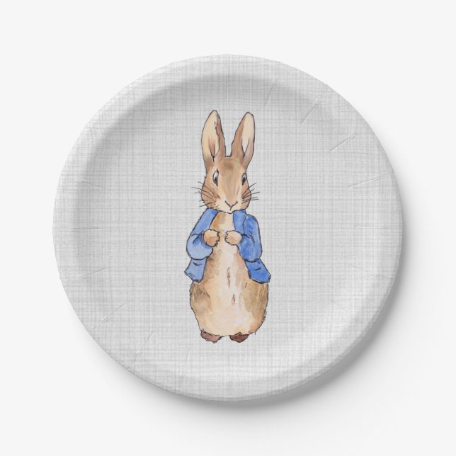 Prato De Papel Coelho clássico azul jaqueta Bunny (Frente)