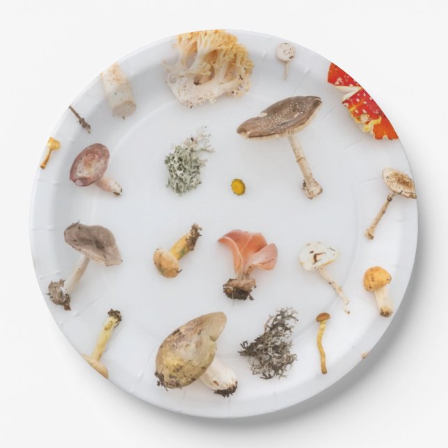 Prato De Papel Cogumelos Fungo (Frente)