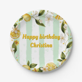 Prato De Papel Coleção de Festas de aniversário de Verão de Placa