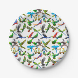 Prato De Papel Colorful Pet Parrots