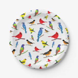 Prato De Papel Colorida North American Birds Pattern Samsung Gala