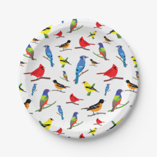 Prato De Papel Colorida North American Birds Pattern Samsung Gala