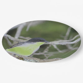 Prato De Papel Com Pássaro Pequeno Em Verdes