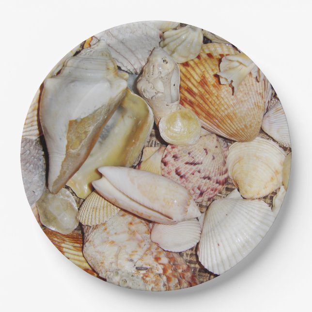 Prato De Papel Conchas (Frente)