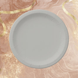 Prato De Papel Cor Sólida da Cinza Francesa Claro