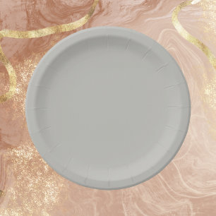 Prato De Papel Cor Sólida da Cinza Francesa Claro