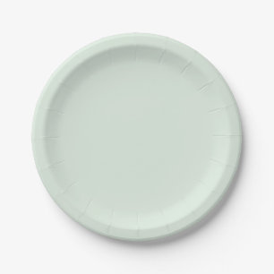 Prato De Papel Cor Sólida Verde da Mint