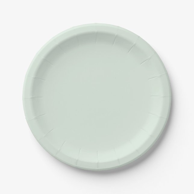 Prato De Papel Cor Sólida Verde da Mint (Frente)