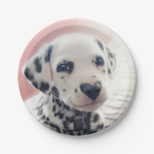 Prato De Papel Coração de Dalmata Nariz