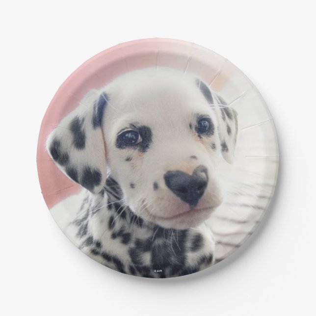 Prato De Papel Coração de Dalmata Nariz (Frente)