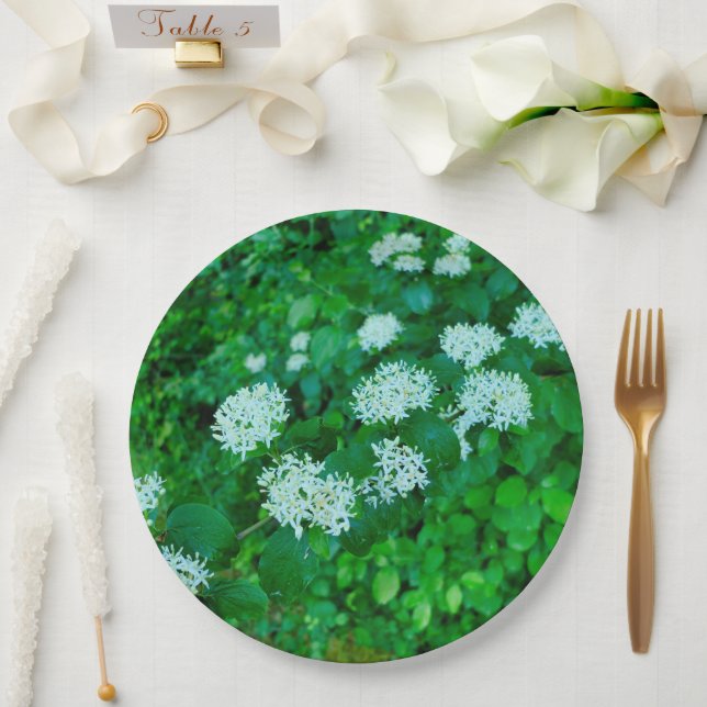 Prato De Papel Cornus sanguinea Plate (Casamento)