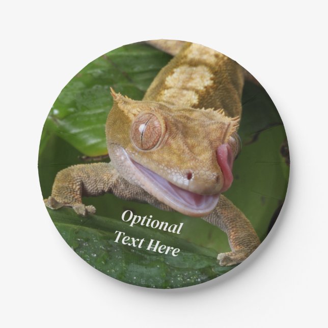 Prato De Papel Crested Gecko (Frente)