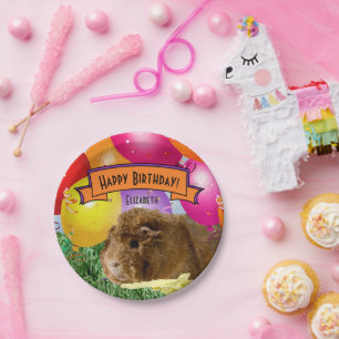 Prato De Papel Criança: Feliz Aniversário, Guiné Pig Party