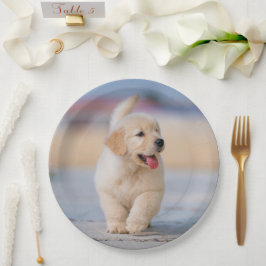 Prato De Papel Crie seu próprio animal de estimação personalizado