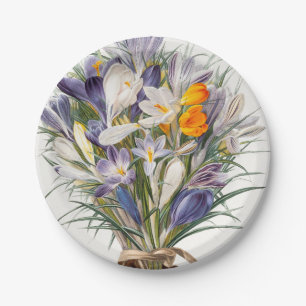 Prato De Papel Crocus Primavera Fllower Arte Floral