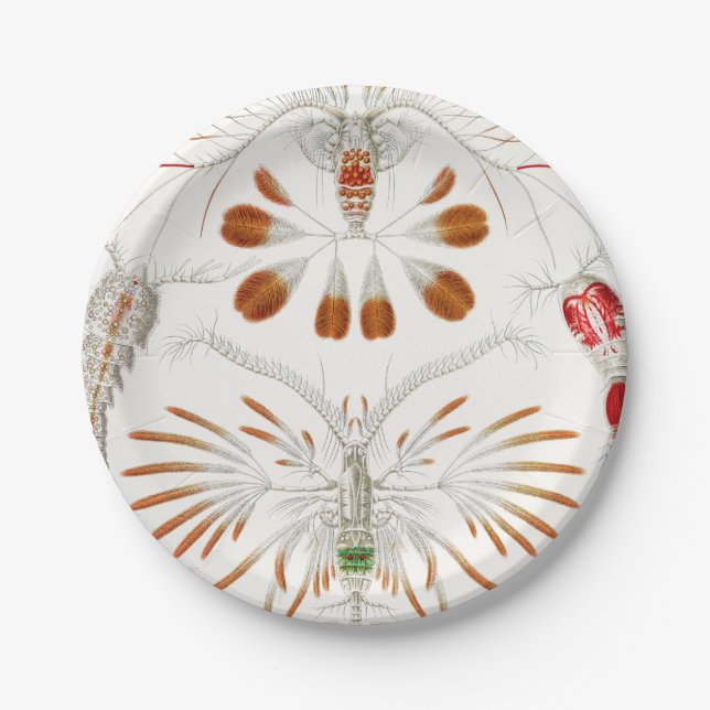 Prato De Papel Crustáceos da Vida Marinha, Copepoda por Ernst Hae (Frente)
