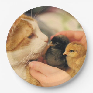 Prato De Papel Cuecas