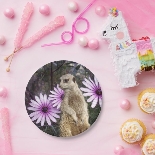 Prato De Papel Curioso Sangue: Meerkat Entre As Visitas Roxas (Festa)