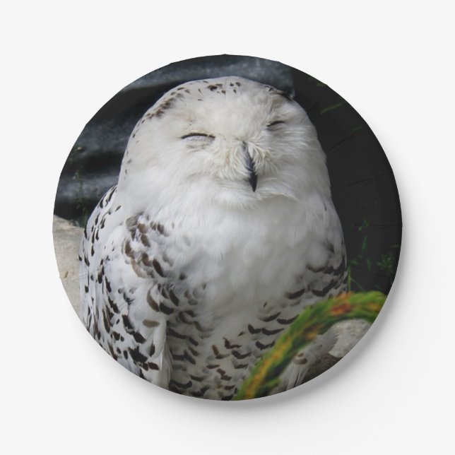 Prato De Papel Cute Snowy Owl (Frente)