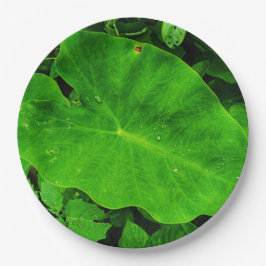 Prato de papel da natureza