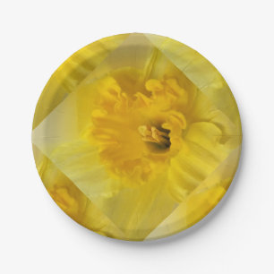 Prato De Papel daffodilo amarelo
