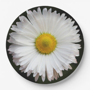 Prato De Papel Daisy