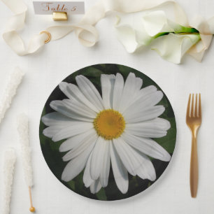 Prato De Papel Daisy Flowers Fotografia Art