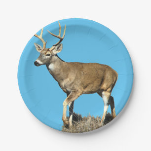 Prato De Papel Deer Buck Branco
