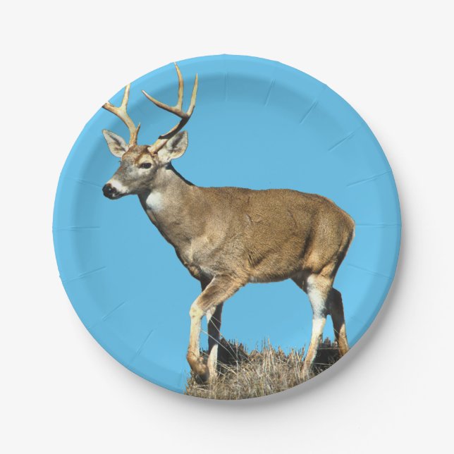 Prato De Papel Deer Buck Branco (Frente)