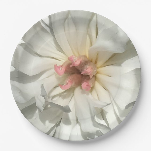 Prato De Papel Delicado, Branca e Penônio (Frente)