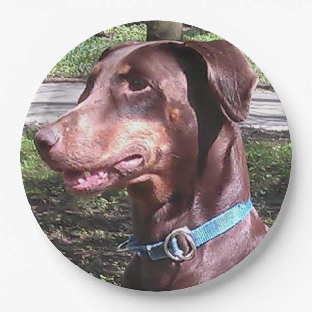 Prato De Papel Doberman Pinscher Red (Frente)