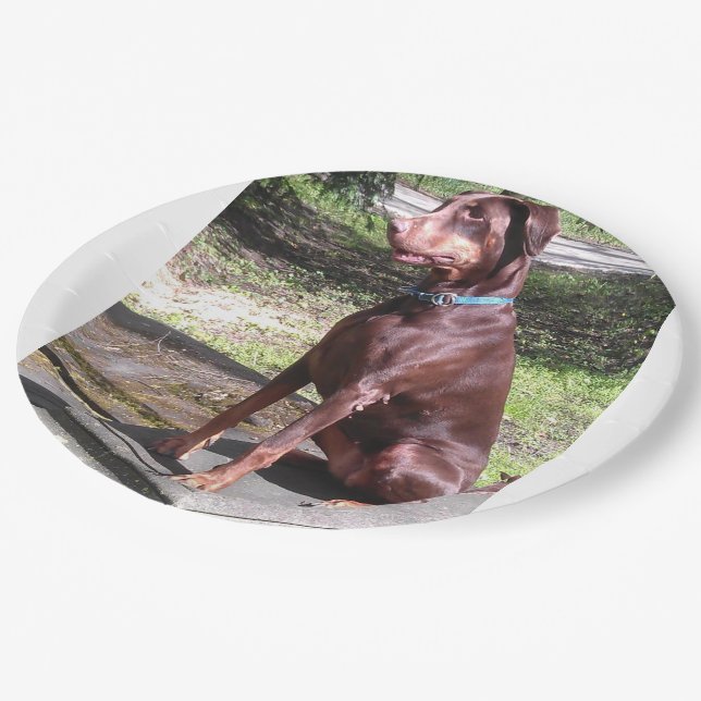 Prato De Papel doberman vermelho (Inclinado)
