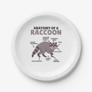 Prato De Papel Doce Raccoon Explicação Anatomia De Um Raccoon