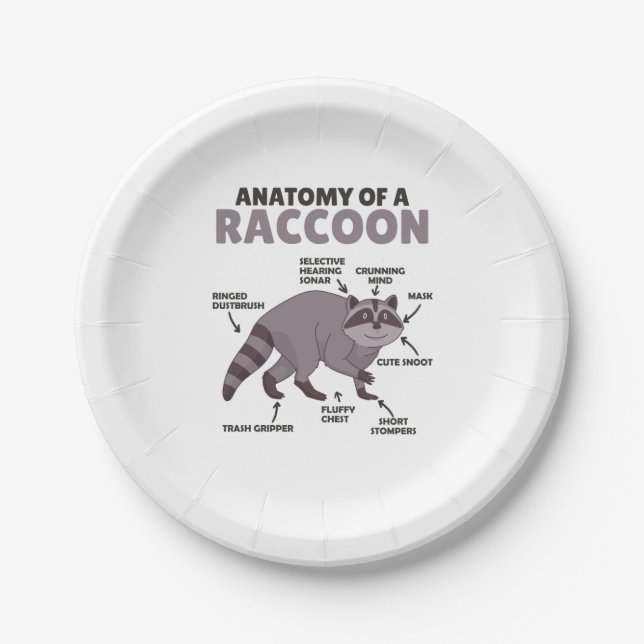 Prato De Papel Doce Raccoon Explicação Anatomia De Um Raccoon (Frente)