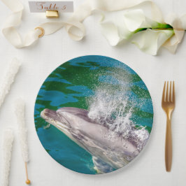 Prato De Papel Dolphin In Milford Sound, Nova Zelândia