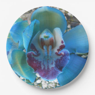 Prato De Papel Donella