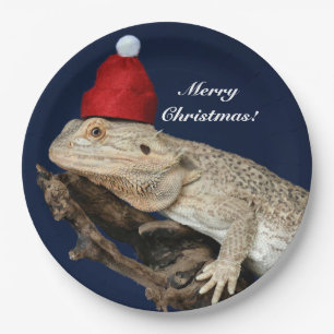 Prato De Papel Dragão Carborado Personalizado Lizard - Santa Cha