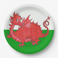 Dragão vermelho bonito na placa do Livro verde e