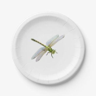 Prato De Papel Dragonfly